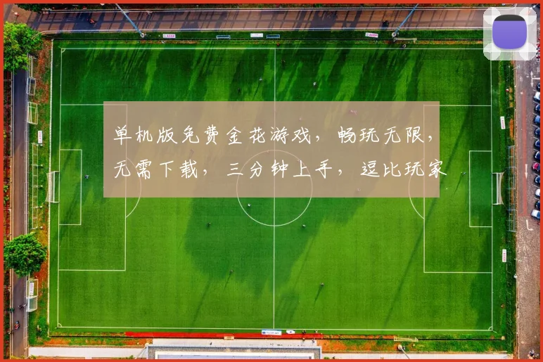 单机版免费金花游戏，畅玩无限，无需下载，三分钟上手，逗比玩家必备逗逗逗