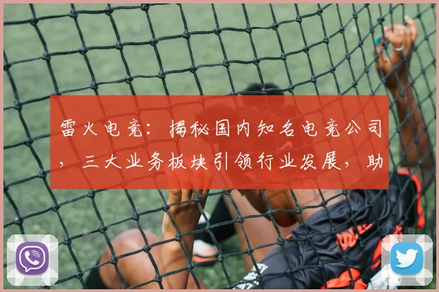 雷火电竞：揭秘国内知名电竞公司，三大业务板块引领行业发展，助力电竞产业腾飞