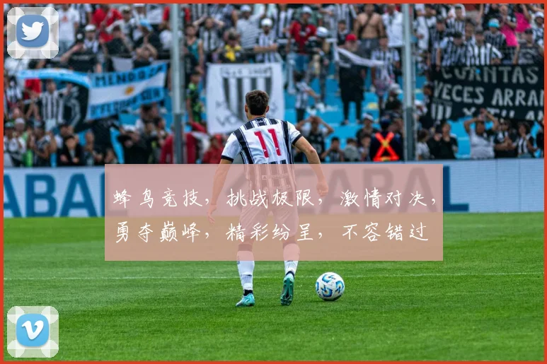 蜂鸟竞技，挑战极限，激情对决，勇夺巅峰，精彩纷呈，不容错过
