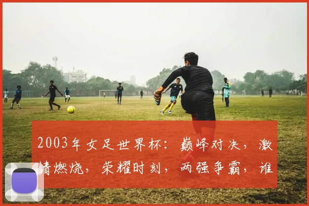 2003年女足世界杯：巅峰对决，激情燃烧，荣耀时刻，两强争霸，谁主沉浮