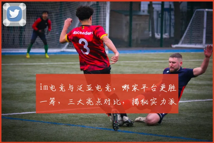 im电竞与泛亚电竞，哪家平台更胜一筹，三大亮点对比，揭秘实力派电竞平台