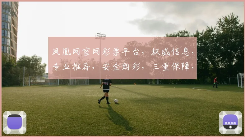 凤凰网官网彩票平台，权威信息，专业推荐，安全购彩，三重保障，必看攻略
