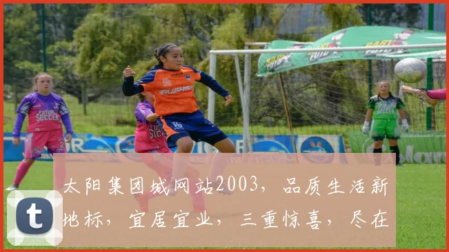 太阳集团城网站2003，品质生活新地标，宜居宜业，三重惊喜，尽在掌握